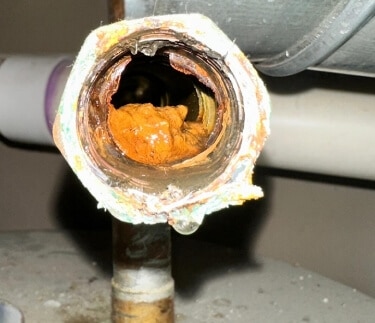 Dirty Drain Interior