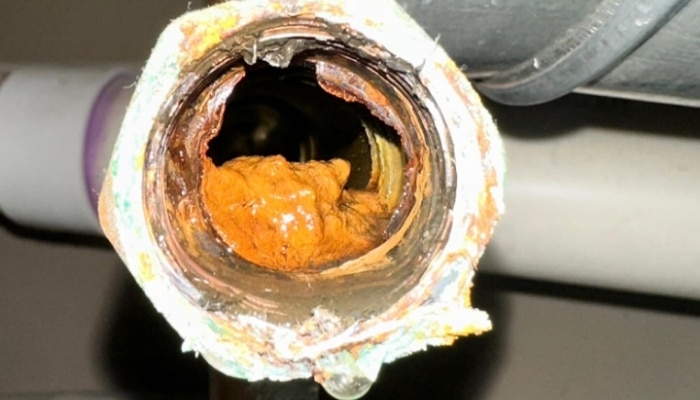 Dirty Pipe Clogged